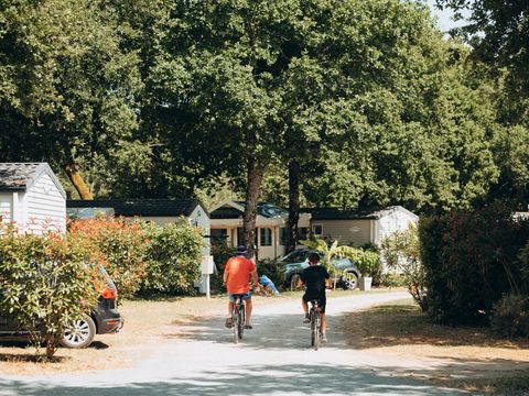 Routes du Monde - Camping l'Orée des Bois Saint-Pierre d'Oléron - Camping Charente-Maritime - Image N°12
