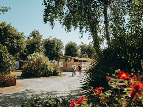 Routes du Monde - Camping l'Orée des Bois Saint-Pierre d'Oléron - Camping Charente-Maritime - Image N°14