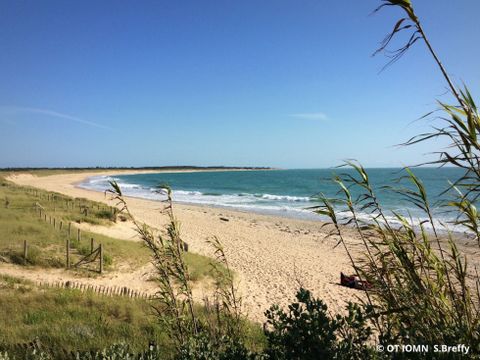 Camping ATC Saint Pierre d'Oléron - Camping Charente-Maritime - Image N°3