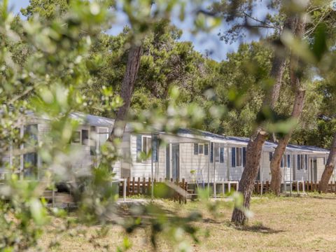 Mobilhome 4 personnes - FAMILY avec climatisation
