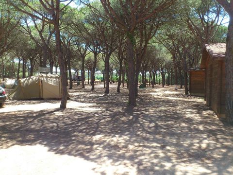 Camping Donana Playa - Camping Huelva - Image N°46