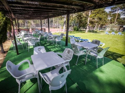 Camping Urbión - Camping Soria - Image N°15