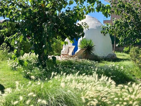 TENTE 1 personne - DOMO (1R 2P)