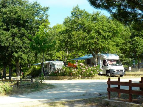 CAMPING LE MOULIN A VENT - Camping Vaucluse - Image N°4