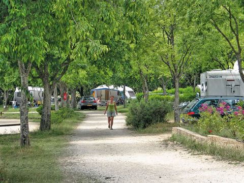 CAMPING LE MOULIN A VENT - Camping Vaucluse - Image N°5