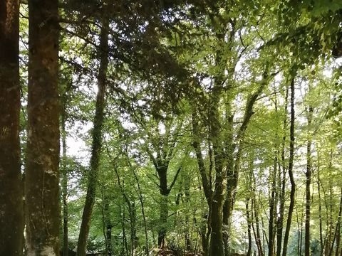 Camping de Kerisole*** - Camping Finistère - Image N°20