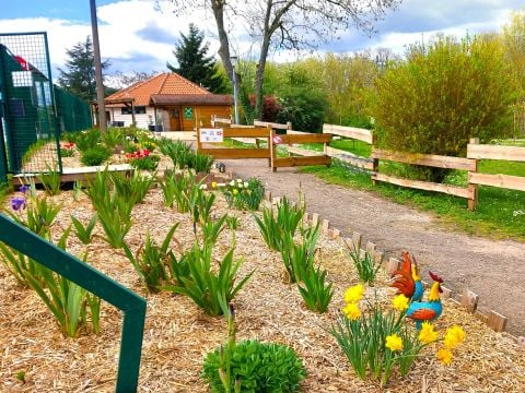 Camping L'Ile aux mille Charmes - Camping Vosgi - Image N°2