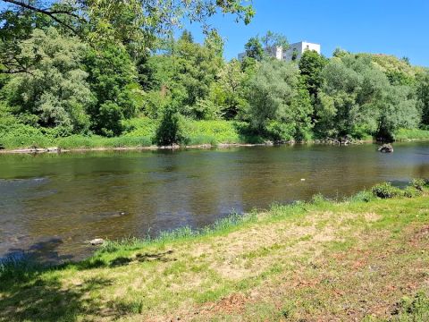 Camping L'Ile aux mille Charmes - Camping Vosges - Image N°11