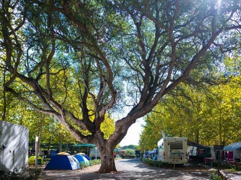Camping Village Baia Azzurra - Camping Grosseto - Image N°3