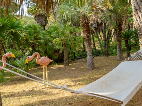 Camping Rosselba le Palme  - Camping Livourne - Image N°36