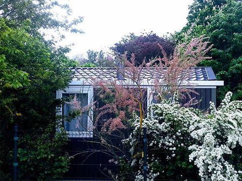 MOBILHOME 4 personnes - Cottage grand confort 2 chambres - Climatisé