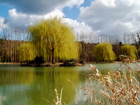 Camping La Rivière Dorée - Camping Seine-et-Marne - Image N°6