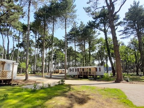 Le Bois de Bayadène - Camping Loire-Atlantique - Image N°5
