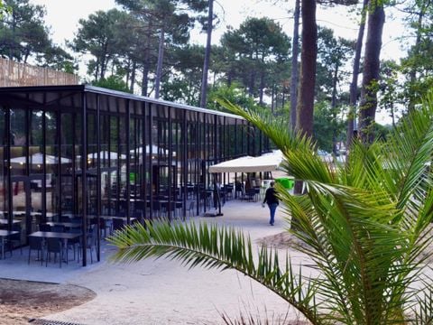 VVF Villages - Le Cap Ferret - Lège-Cap-Ferret - Camping Gironde - Image N°2