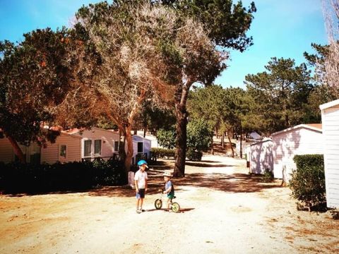 Camping Orbitur Sagres - Camping Algarve - Portugal - Image N°13