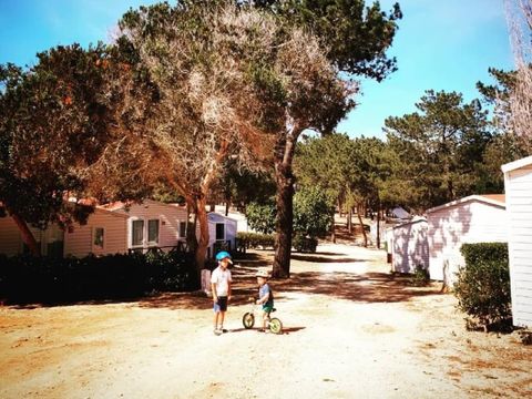 Camping Orbitur Sagres - Camping Algarve - Portugal - Image N°16