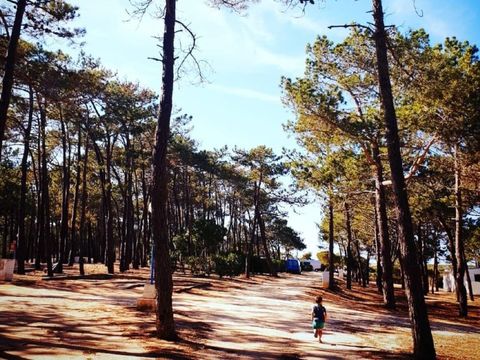 Camping Orbitur Sagres - Camping Algarve - Portugal - Image N°14