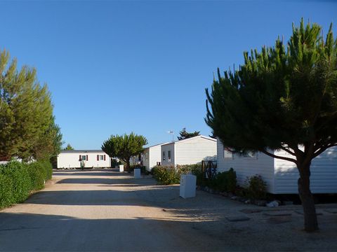 Camping Orbitur Sagres - Camping Algarve - Portugal - Image N°16