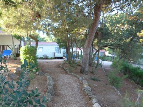 Camping Orbitur Sagres - Camping Algarve - Portugal - Image N°13