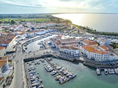 VVF Villages - Ile de Ré les Dunes - Sainte-Marie-de-Ré - Camping Charente-Maritime - Image N°2