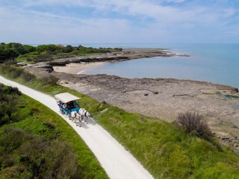 VVF Villages - Ile de Ré les Dunes - Sainte-Marie-de-Ré - Camping Charente-Maritime - Image N°3