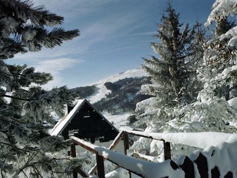 VVF Villages - Massif du Sancy - Super Besse - Camping Puy-de-Dôme - Image N°2