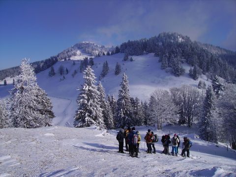 VVF Villages - Jura les Rousses - Premanon - Camping Jura - Image N°2