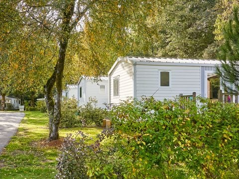 Camping Les Jardins du Morbihan - Camping Morbihan - Image N°40