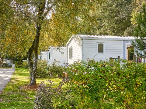 Camping Les Jardins du Morbihan - Camping Morbihan - Image N°41