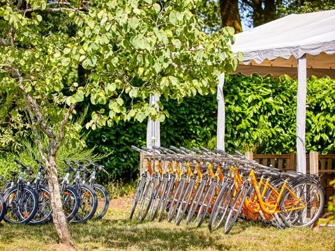 Camping Les Jardins du Morbihan - Camping Morbihan - Image N°40