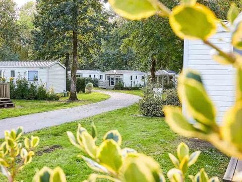 Camping Les Jardins du Morbihan - Camping Morbihan - Image N°41