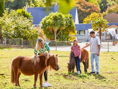 Camping Les Jardins du Morbihan - Camping Morbihan - Image N°17