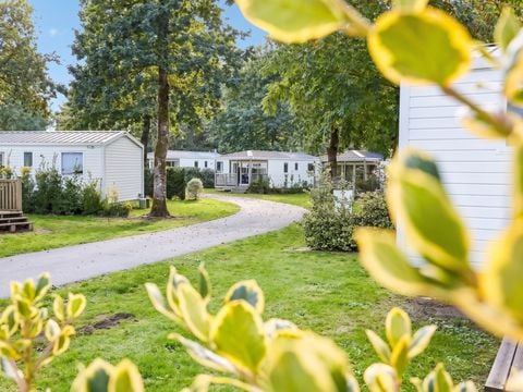 Camping Les Jardins du Morbihan - Camping Morbihan - Image N°44