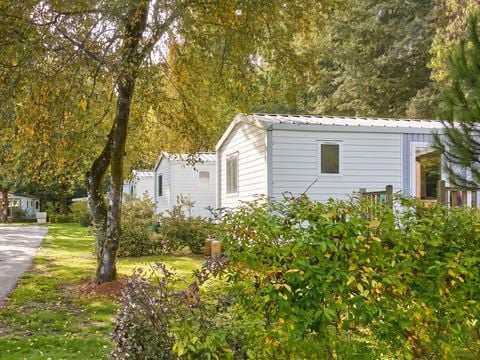 Camping Les Jardins du Morbihan - Camping Morbihan - Image N°48