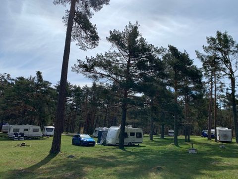 Emplacement - PARCELA CARAVANA