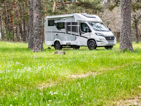 Emplacement - PARCELA AUTOCARAVANA
