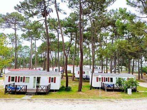 Camping Orbitur Foz de Arelho - Camping Lissabon - Afbeelding N°3