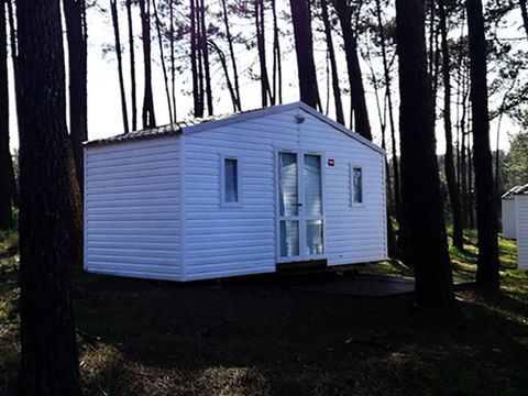 MOBILHOME 5 personnes - HAWAI - sans sanitaire