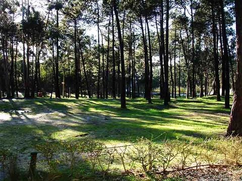 Camping Orbitur Foz de Arelho - Camping Lissabon - Afbeelding N°16