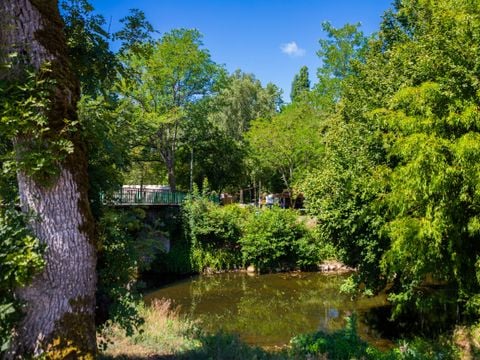Camping D'auberoche - Camping Dordogne - Image N°38