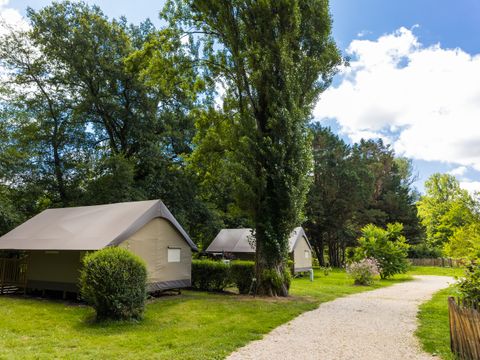 LODGE 4 personnes - Mini-Wood sur pilotis en toile , sans sanitaires, pour 4 personnes