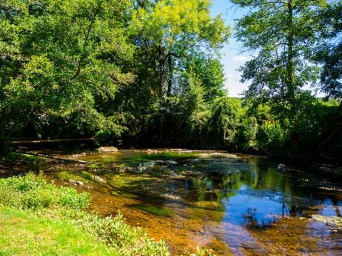 Camping D'auberoche - Camping Dordogne - Image N°36