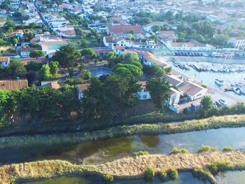 VVF Villages - Ars Ile de Re - Ars en Re - Camping Charente-Maritime