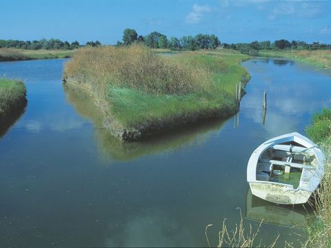 VVF Villages - Ars Ile de Ré - Ars en Ré - Camping Charente-Maritime - Image N°2