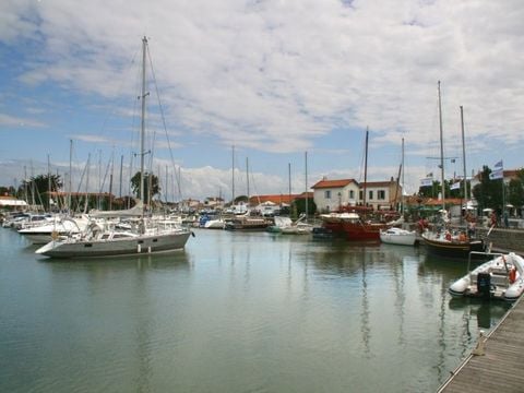VVF Villages - Ars Ile de Ré - Ars en Ré - Camping Charente-Maritime - Image N°8