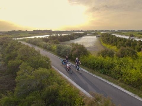 VVF Villages - Ars Ile de Ré - Ars en Ré - Camping Charente-Maritime - Image N°10