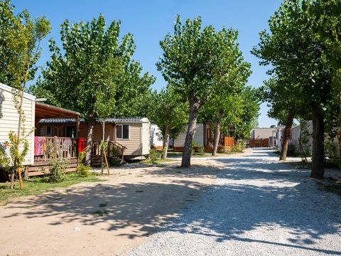 Camping Rimini Family Camping Village - Camping Rimini - Image N°15