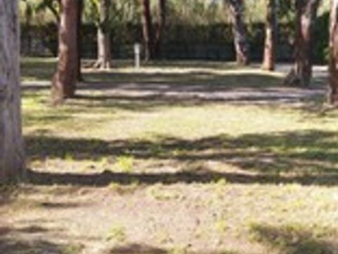 Emplacement - 2 adultes + 1 voiture + 1 tente 2 personnes + électricité