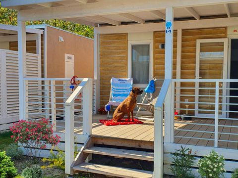 MOBILHOME 6 personnes - Glam (animaux acceptés)