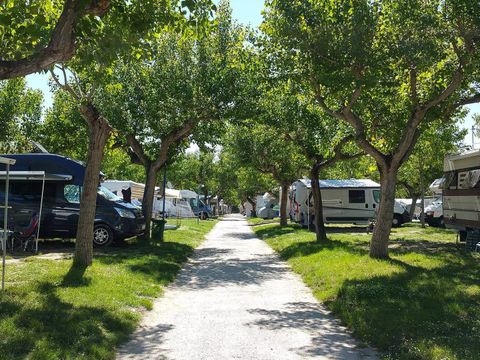 Camping Adria Riccione - Camping Rimini - Image N°2